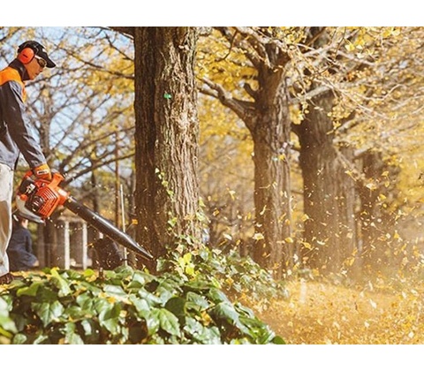 Echo PB-2620