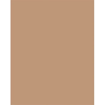 folia Цветна хартия a3, 130 г, 50 листа, folia, светлокафява 6372 (6372)