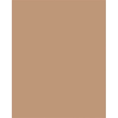 folia Цветна хартия a3, 130 г, 50 листа, folia, светлокафява 6372 (6372)