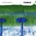 Tonic - Steve Baker CD