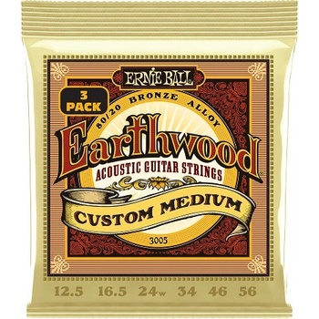 Ernie Ball 3005