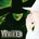 SOUNDTRACK - WICKED CD