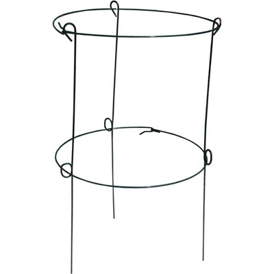 PLANTA Podpera pre pivónie 60cm