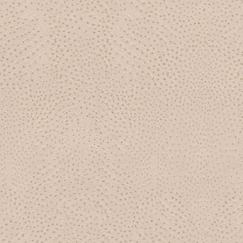 RASCH Влизолинов тапет за стена rasch african queen 751512