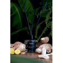 Mafe candles Aroma difuzér Citronová tráva & zázvor 100 ml