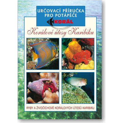 Korálové útesy v karibiku - Určovací příručka pro potapěče - Ryby a živočichové korálových útesů Kar - Elizabeth a Lawson Woodovi