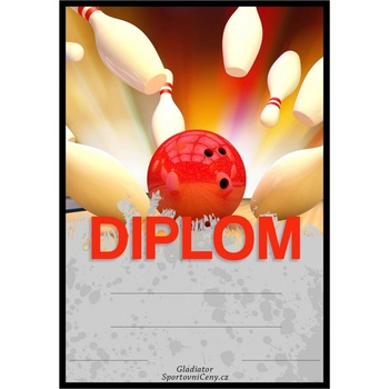 DB06d Diplom bowling