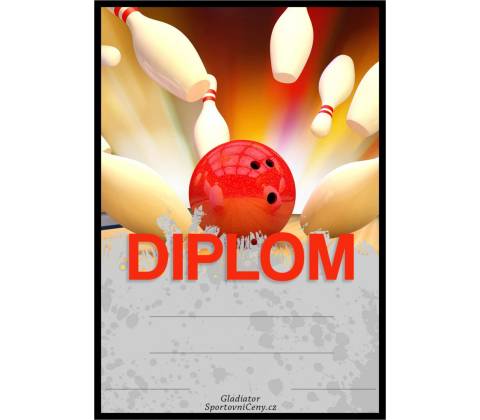 DB06d Diplom bowling