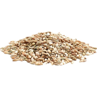 Aso Zdravý život Žito Bio 1 kg