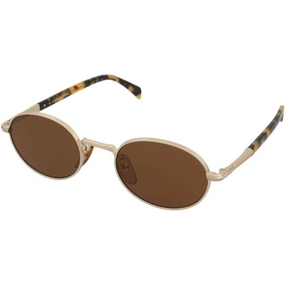 David Beckham DB1196 S HM2 70