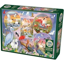 Cobble Hill Waterbird Magic 1000 dielov