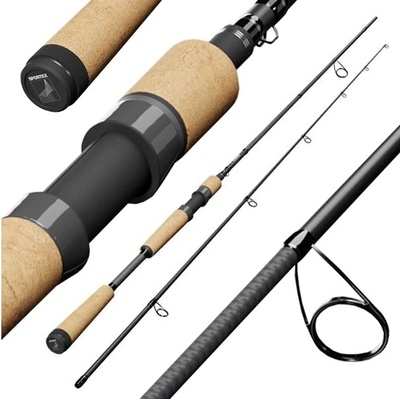 SPORTEX Captor RS-2 Spin 2,4 m 60 g 2 díly