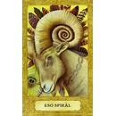 Chrysalis Tarot - Když se nevědomé stane vědomým kniha a 78 karet - Toney Brooks