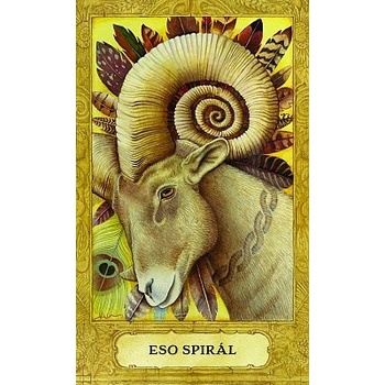 Chrysalis Tarot - Když se nevědomé stane vědomým kniha a 78 karet - Toney Brooks