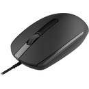 Canyon CNE-CMS10B