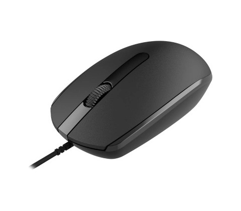 Canyon CNE-CMS10B
