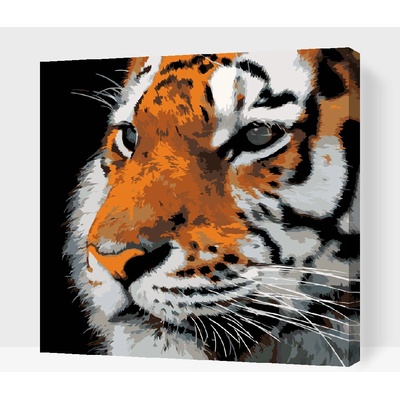 Vymalujsisam Maľovanie podľa čísiel Tiger