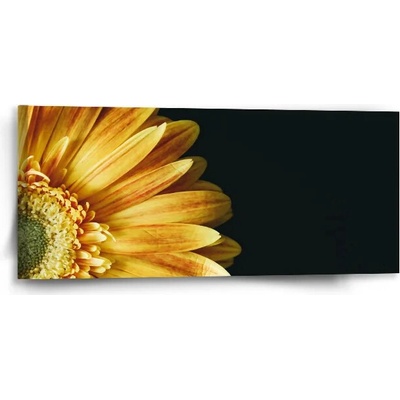 Sablio Obraz Žltá gerbera - 110x50 cm