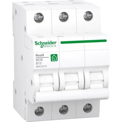 Schneider Electric R9F23313