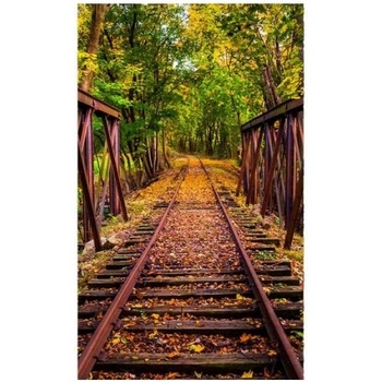 DIMEX ART s. r. o Флизелинов фототапет железопътна линия в гората 150 x 250 см