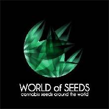 World of Seeds Medical Collection semena neobsahují THC 8 ks