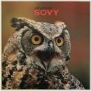Sovy - Jiří Bednář