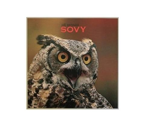 Sovy - Jiří Bednář
