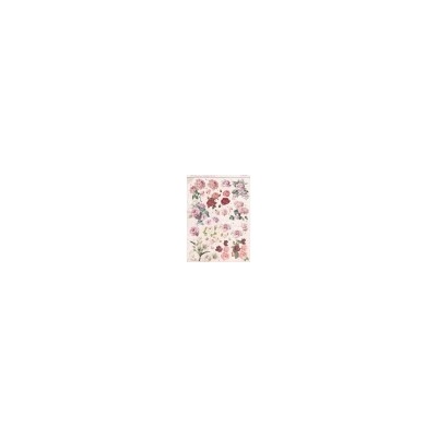 Papírové výřezy 3D - Shabby Chic 2 Reddy URS84137