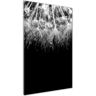 Vertikálny fotoobraz na skle Semená púpavy 50x100 cm