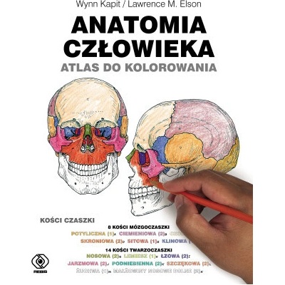 Anatomia człowieka. Atlas do kolorowania