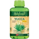 Doplňky stravy Rainforest Yucca 500 mg 180 kapslí