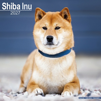 AVONSIDE Shiba inu, 30 x 30 cm 2027