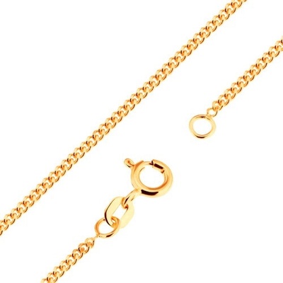 Šperky eshop Zlatý řetízek, masivnější curb S3GG171.04