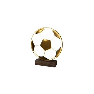 Poháry Bauer Dřevěná plaketa WF255 Fotbal