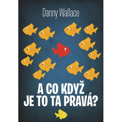 A co když je to ta pravá? Danny Wallace