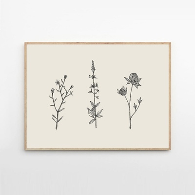 The Poster Club Plagát Three Friendly Bushels by Chloe Purpero Johnson 50x70