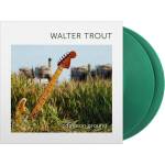 Walter Trout - Common Ground (15th Anniversary) (Limited Edition) (Translucent Green Coloured) (180 g) (LP) (8719262041103)