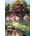 Art Puzzle - Puzzle Sunday Breakfast - 500 piese
