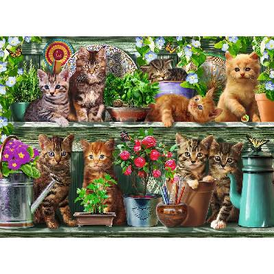 Ravensburger Adrian Chesterman Mačky na Poličke 500 dielov