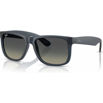 Ray-Ban RB4165 681311