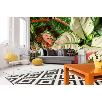 DIMEX ART s. r. o Самозалепваща се флизелинова фототапета аглаонема 375 x 250 см