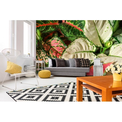 DIMEX ART Самозалепваща се флизелинова фототапета аглаонема 375 x 250 см