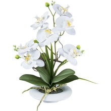 Umelá Orchidea biela v miske, 41cm