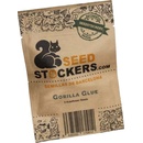 Seedstockers Gorilla Glue semena neobsahují THC 5 ks