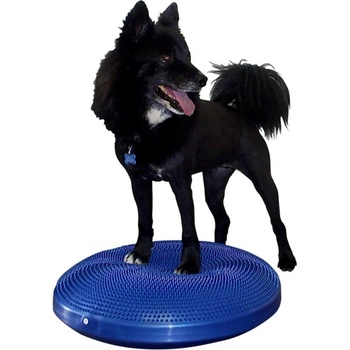 FitPaws balanční čočka modrá 56 cm