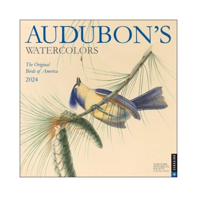 Audubon's Watercolors Wall 2024