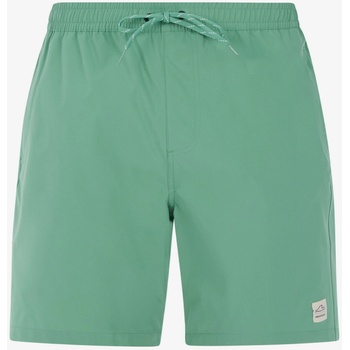 Protest Мъжки плажни шорти Protest PRTBAKY Protest | Zelen | МЪЖЕ | M