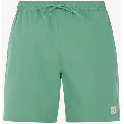 Protest Мъжки плажни шорти Protest PRTBAKY Protest | Zelen | МЪЖЕ | M