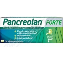 Pancreolan Forte tbl.ent.30 x 220 mg