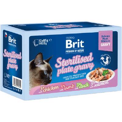 Brit Premium (VAFO Praha s.r.o.) BritPremium Cat Delicate Fillets in Gravy Family Plate Sterilised 12x85 g